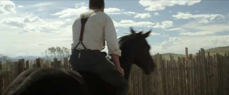 [horse nickers]