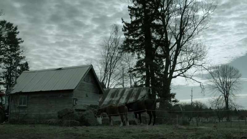 [horse nickers]