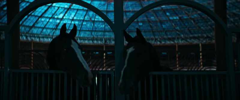[horse nickers]