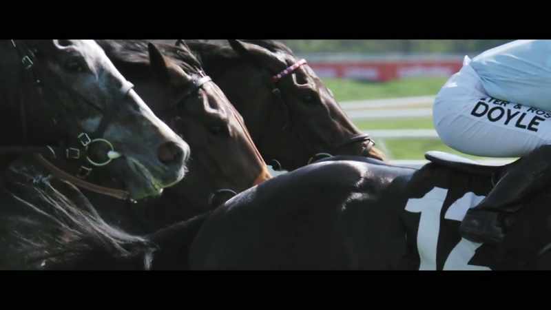 Horse racing is an extraordinary spectacle like no other