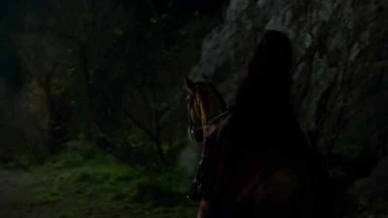 [horse shrieks in fright]