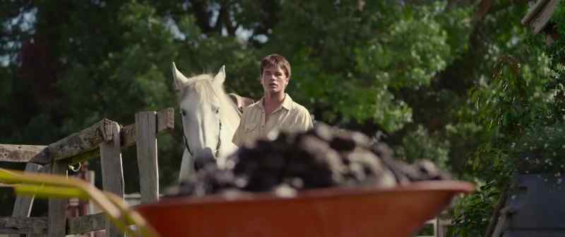 [horse snorting]