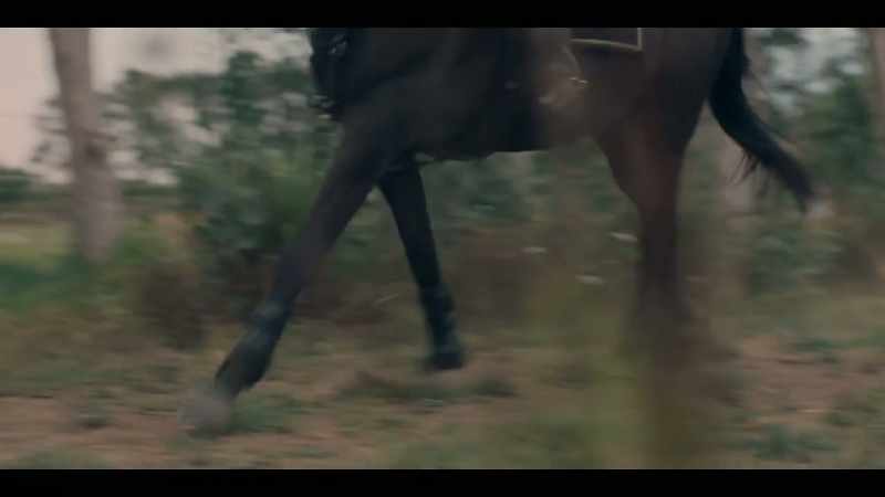 [HORSE SNORTS]