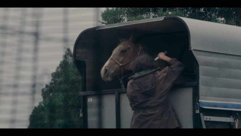 [HORSE SNORTS]