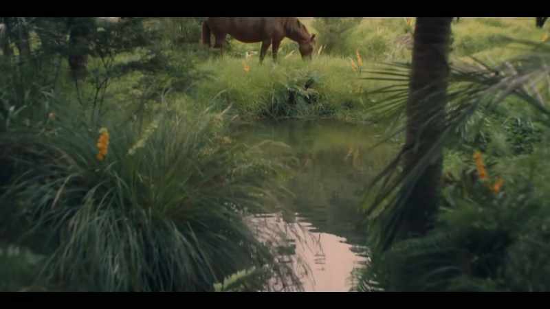 [HORSE SNORTS]
