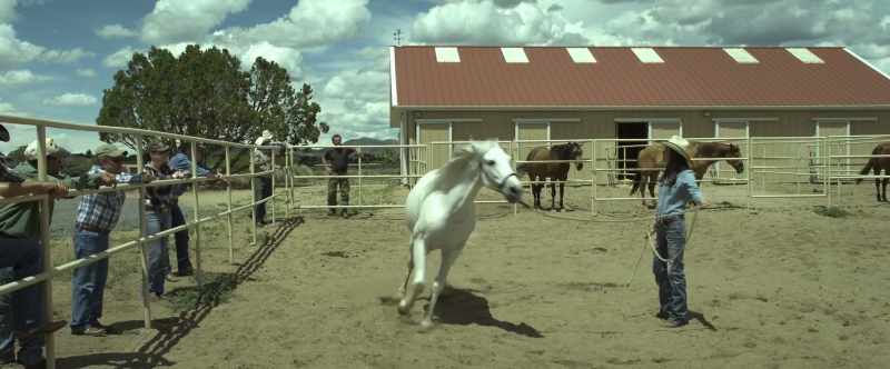 (HORSE SNORTS)