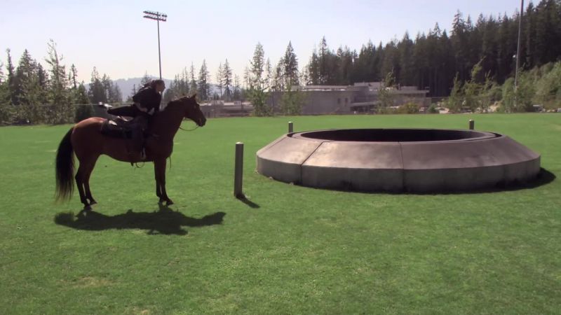 [horse snorts, whinnies]