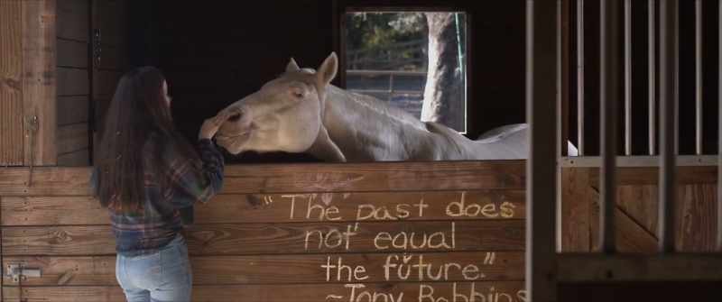 [horse sound]