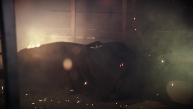 (horse whinnies) abbie: Crane