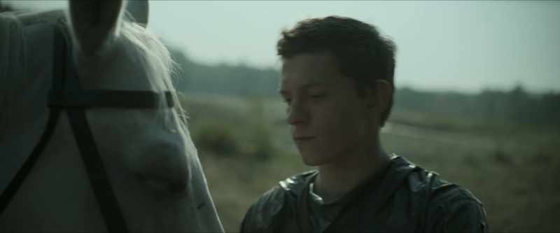 [HORSE WHINNIES IN DISTANCE]