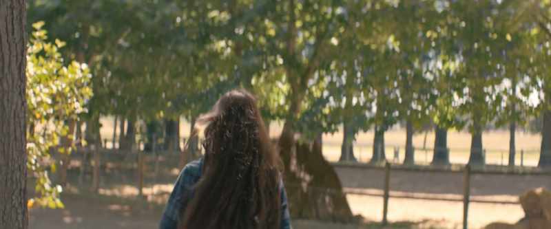 [horse whinnies in distance]