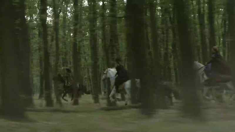[horse whinnies]
