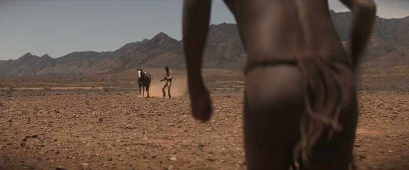 [horse whinnies]