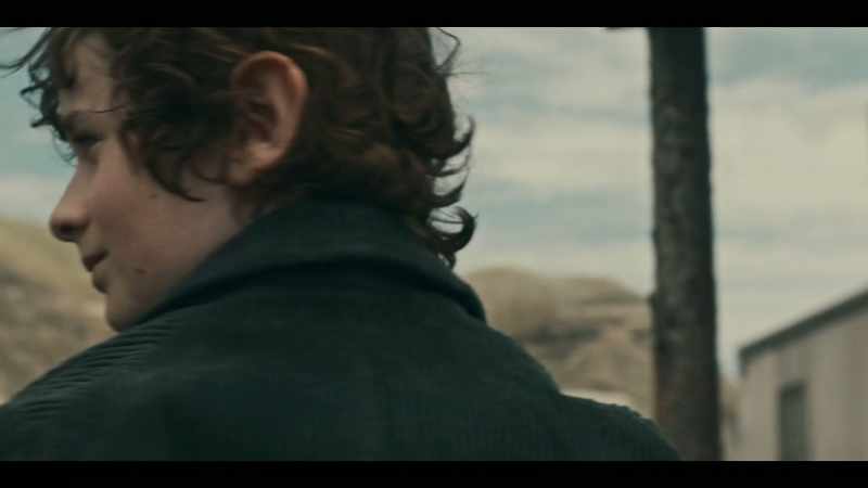 [horse whinnies]