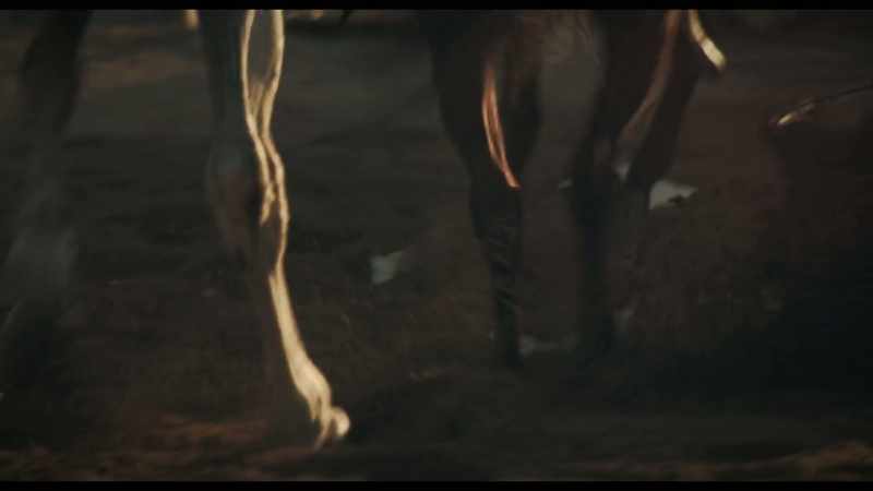 [horse whinnies]