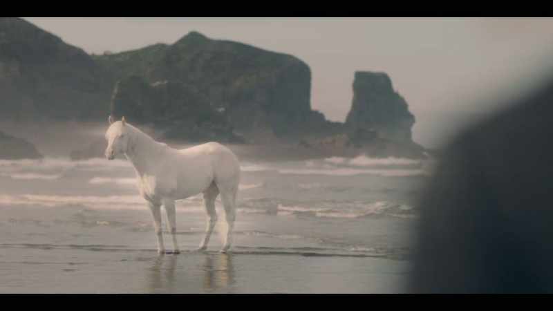 [HORSE WHINNIES]