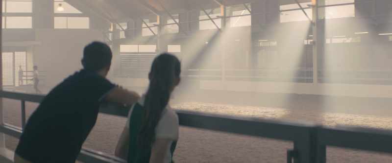 [horse whinnies]