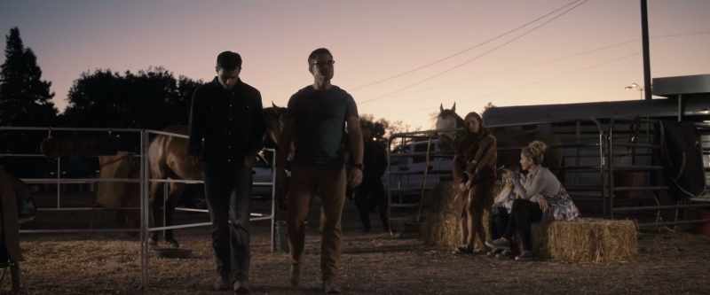 (horse whinnying)
