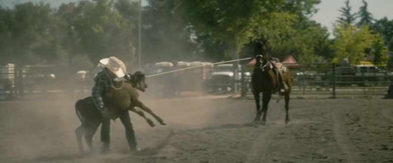 (horse whinnying)