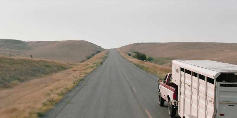 (HORSE WHINNYING) - (THUDDING)