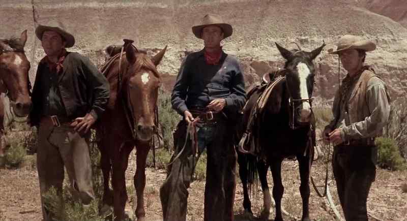 (HORSES BLUSTERING)