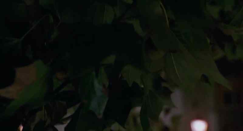 [HORSES GALLOPING]