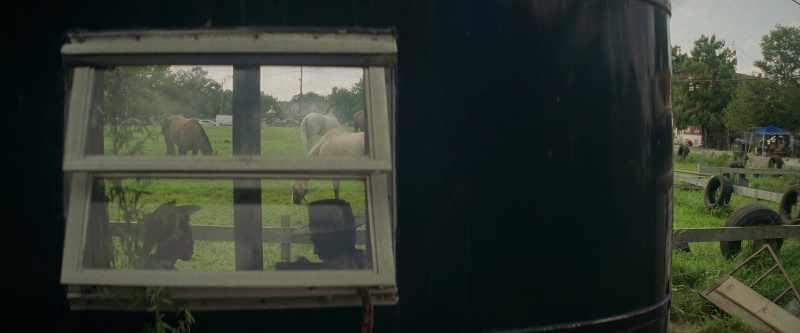 [horses neighing]