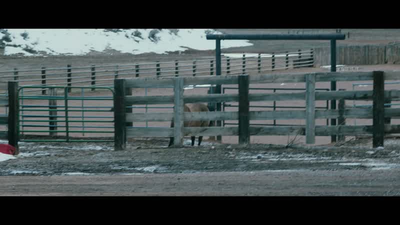 Horses sense the storm, huh?