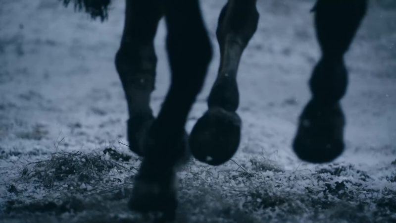 [horses whinnying in distance]