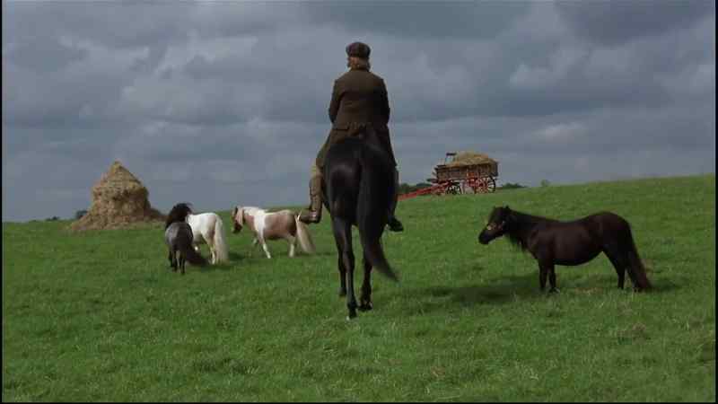 (HORSES WHINNYING)