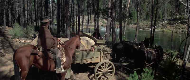 (HORSES WHINNYING)