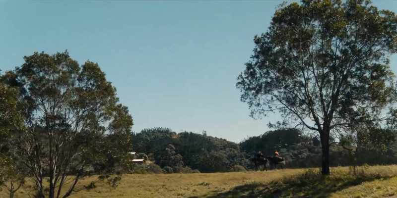 Horsey, horsey, horsey. (CLICKS)