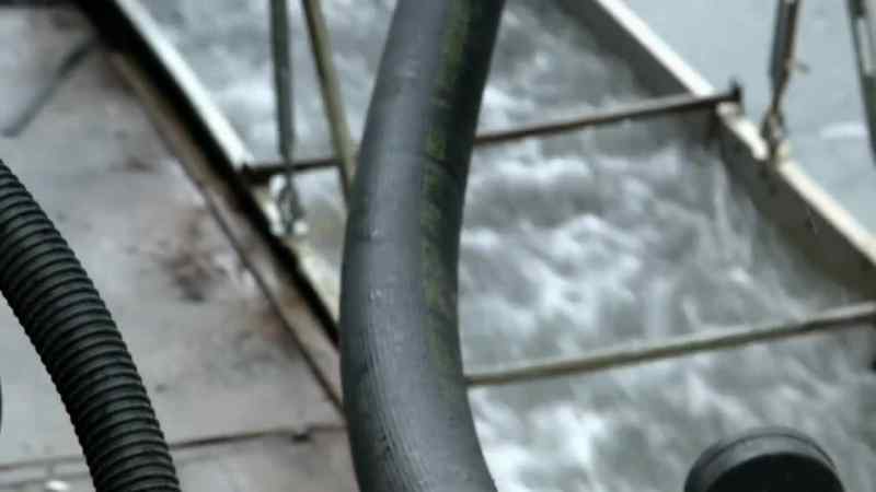 Hose, hose, hose!