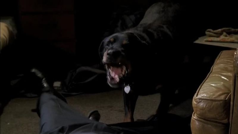 Hotch! Hotch!