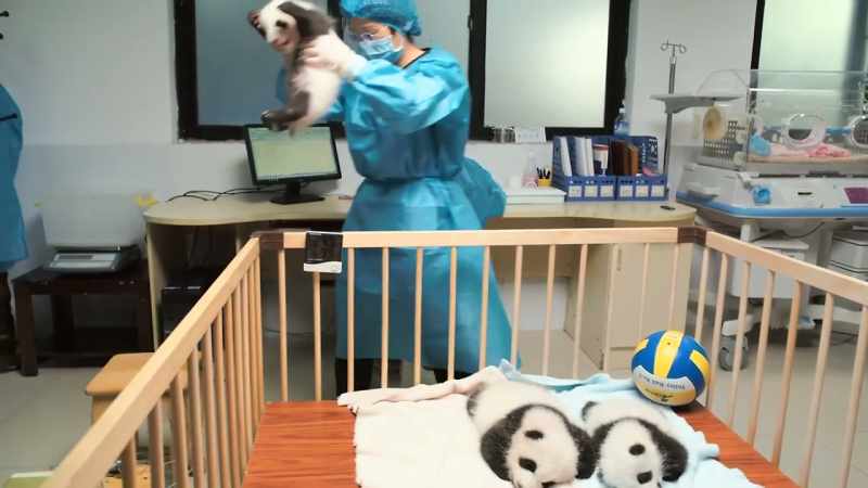 Hou rong and her colleagues used new techniques