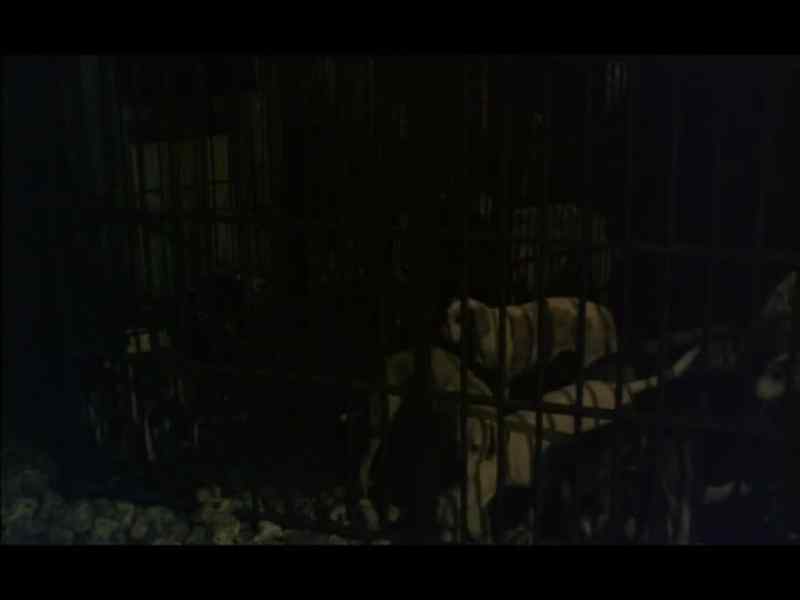 (hounds bark) - Shh! Shh!