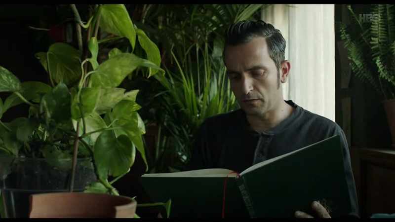 Houseplants filter and clean the air