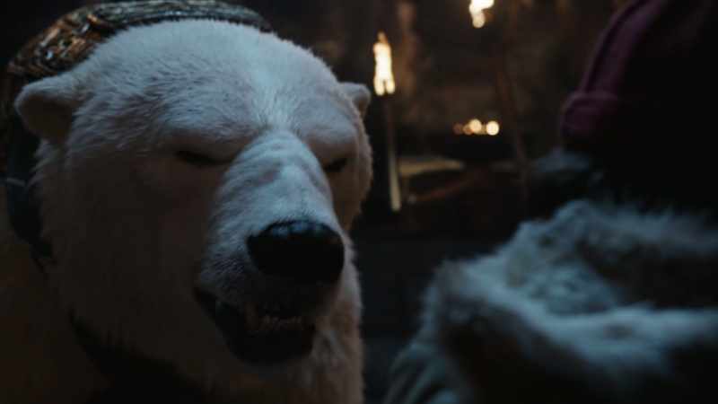 How has a bear got a dæmon?