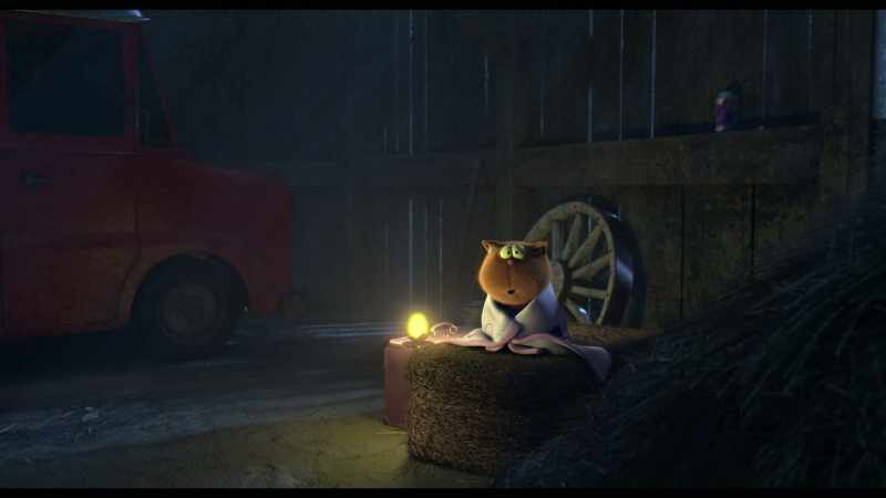 How about you, kitty? - I can't sleep