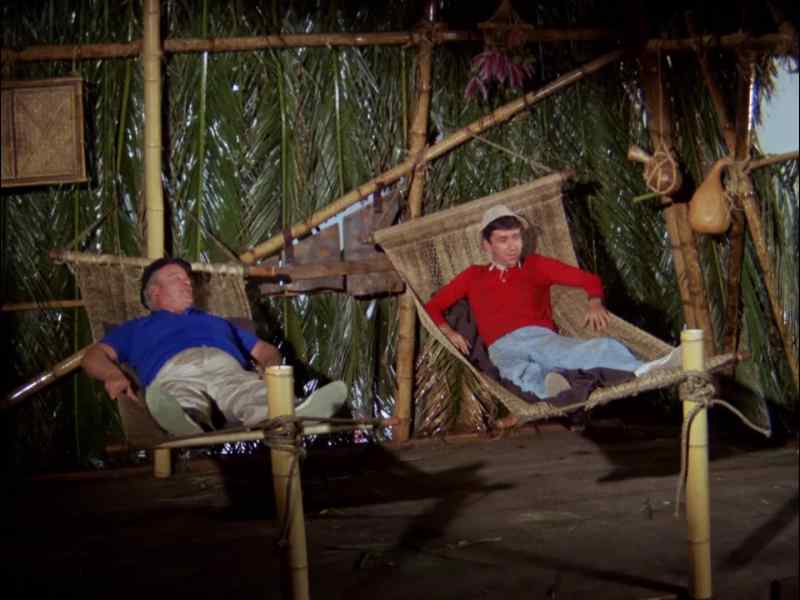 HOW ARE YOU DOING, GILLIGAN?
