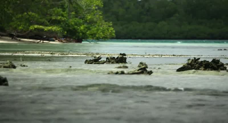 How climate change is affecting many coastal cities