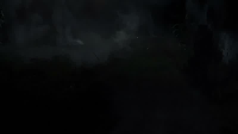 How did chesty get all the phones?