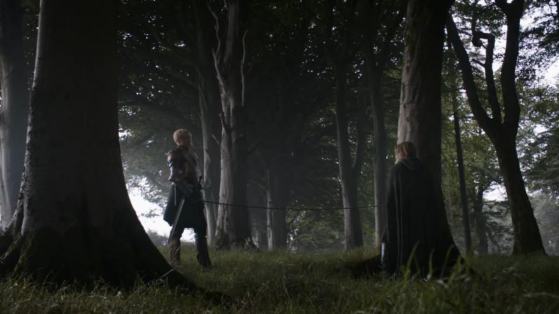 How did you come into Lady Stark's service?