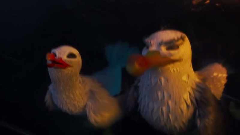 How did you find us? - It's a swift thing