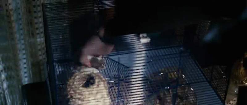 How did you guys get out