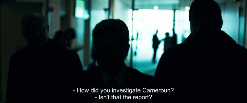 How did you investigate Cameroun? - Isn't that the report?