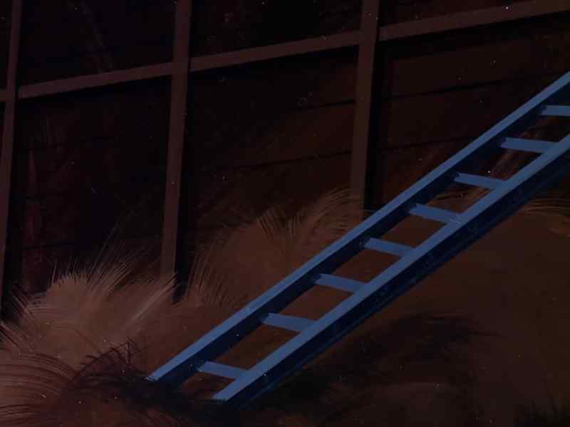 How do we get down from here? -We jump! What else?