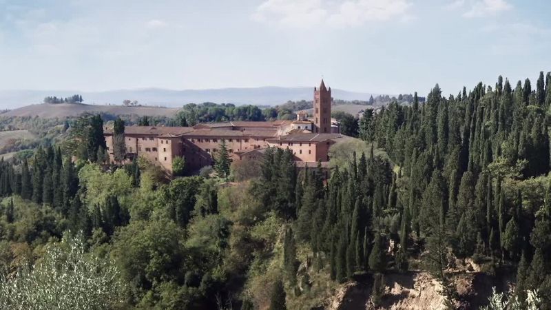 Look