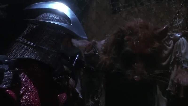How do they know how to fight like this