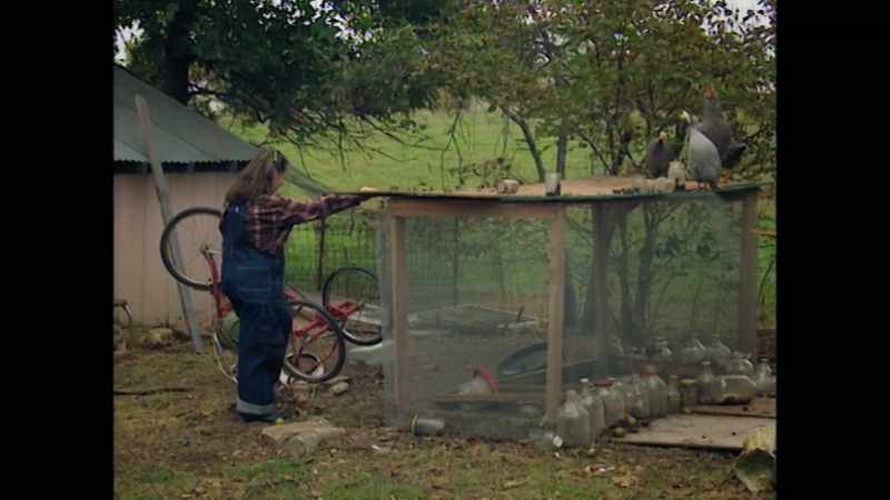 How you doing? - (CHICKENS CLUCKING)